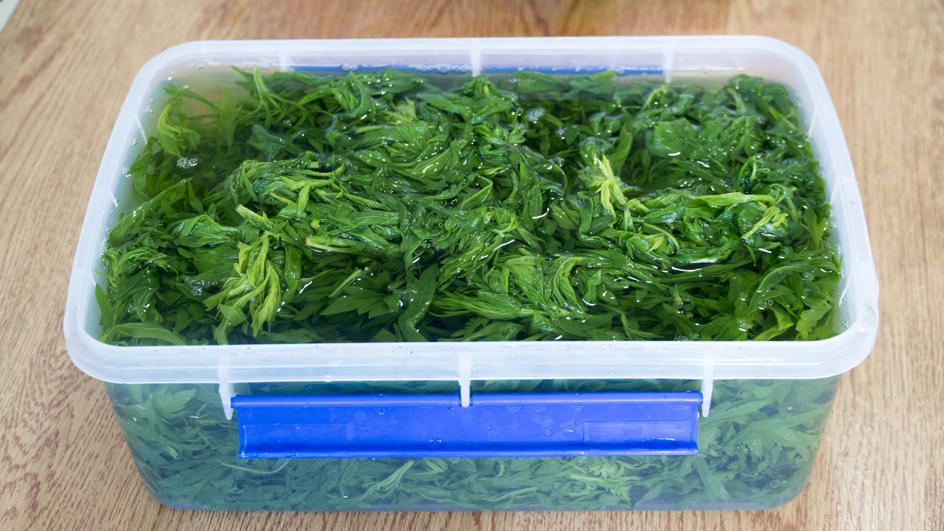 艾草怎么才能保存3年以上做艾柱,艾草的妙用