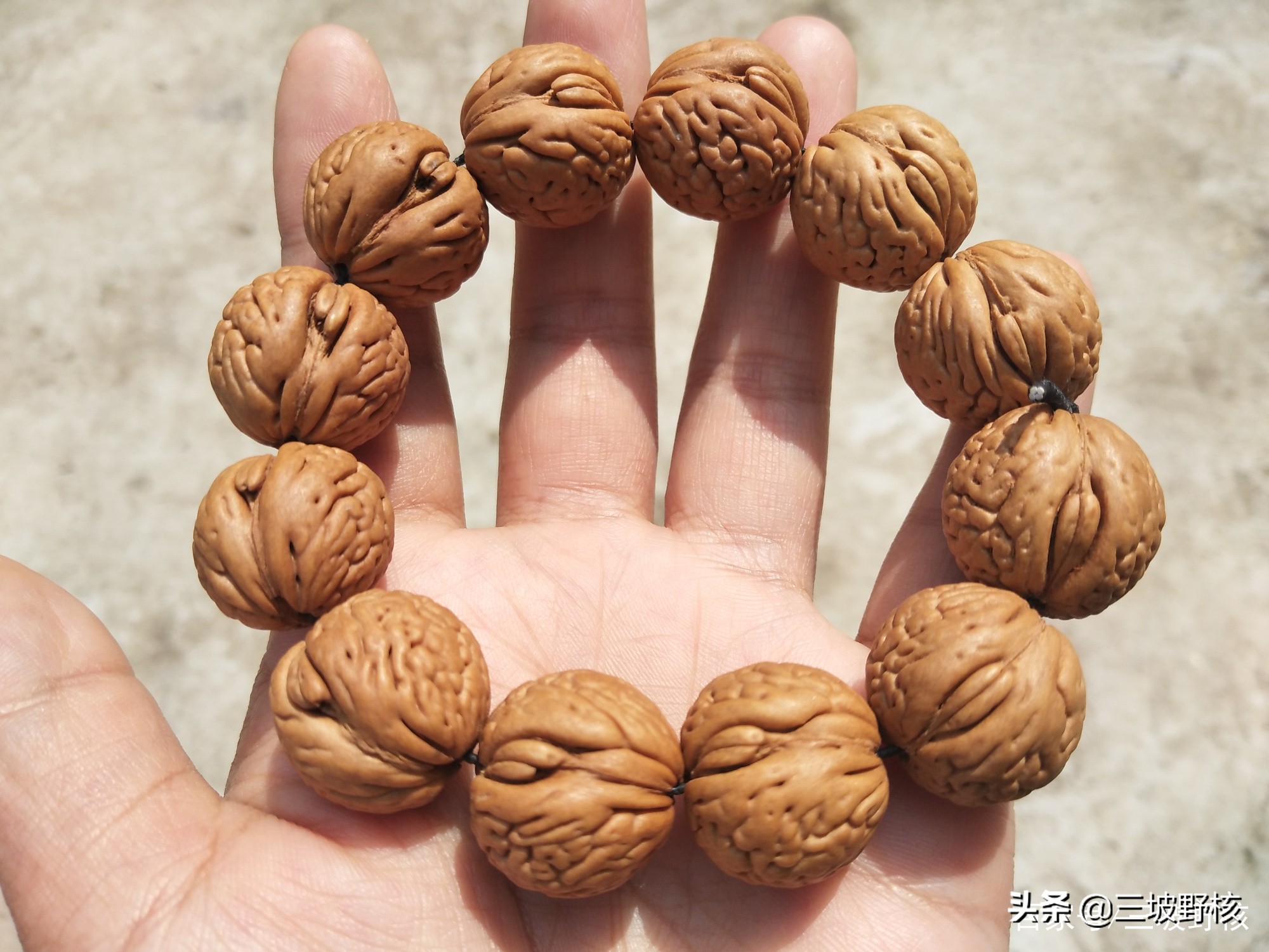 蚂蚁纹西瓜纹火焰纹,桃核蚂蚁纹和荔枝纹的区别