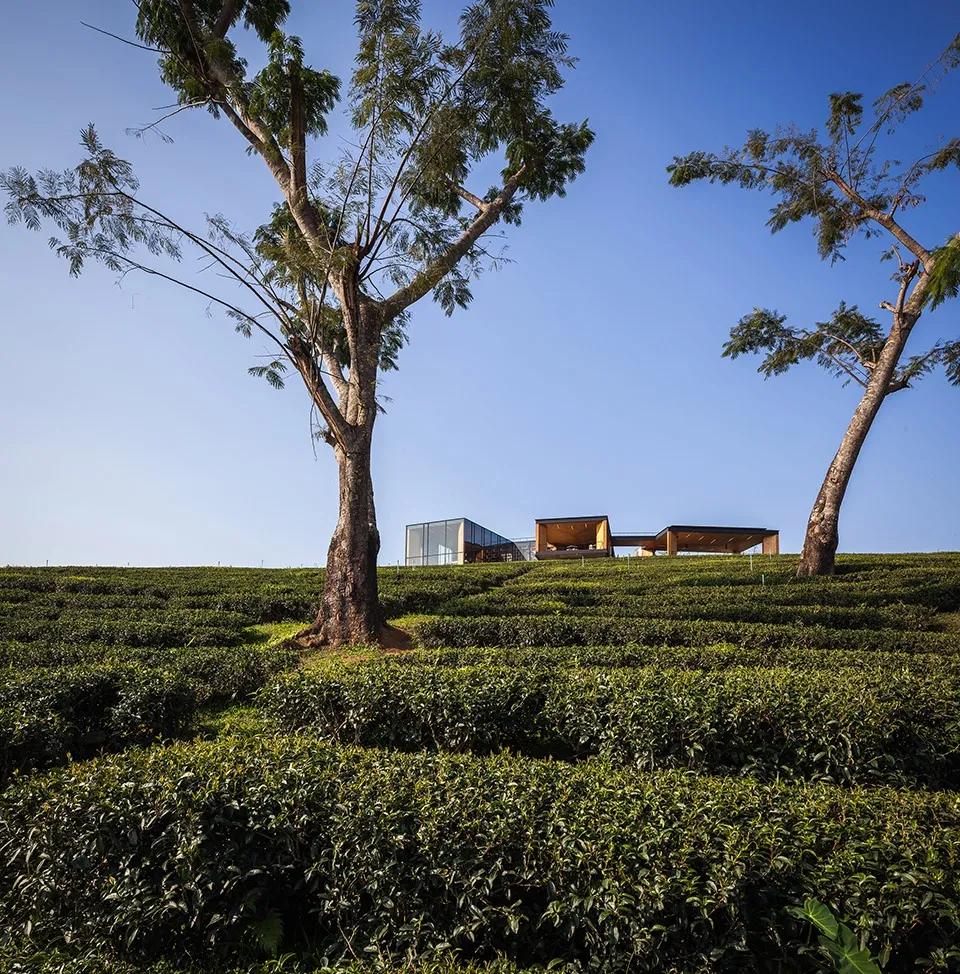 大山里的茶吧咖啡馆在哪里,隐藏在大山里的咖啡馆