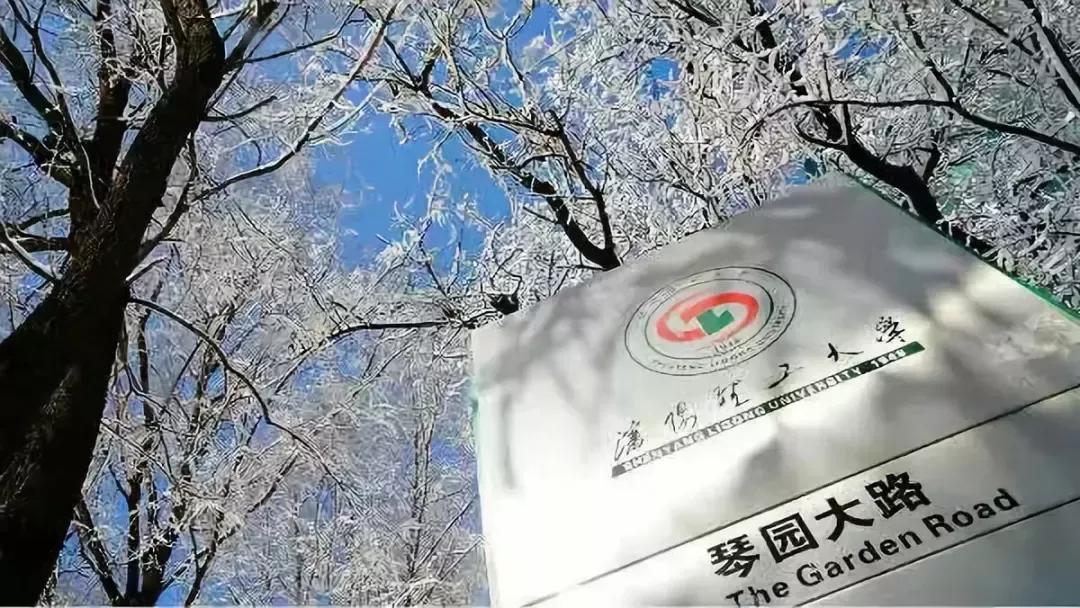 辽宁省普通高等院校,辽宁省沈阳本科大学