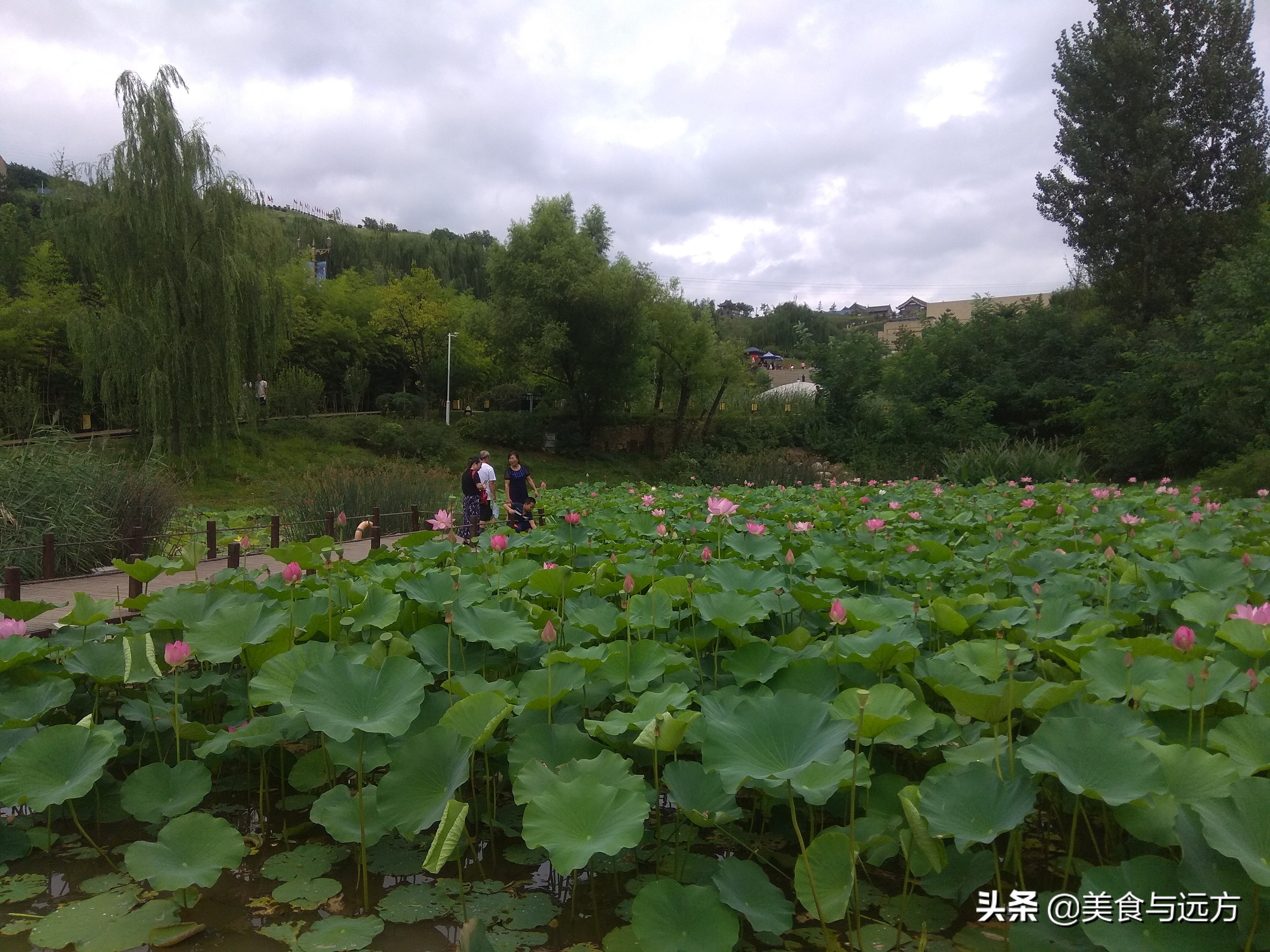 白鹿原白鹿仓景区空中漫步,白鹿原白鹿仓影视城