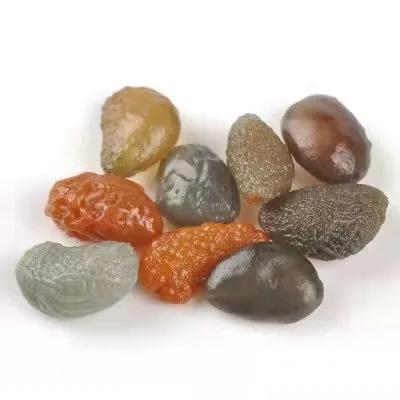 捡石头真的可以发财吗,石头捡到真能发财吗