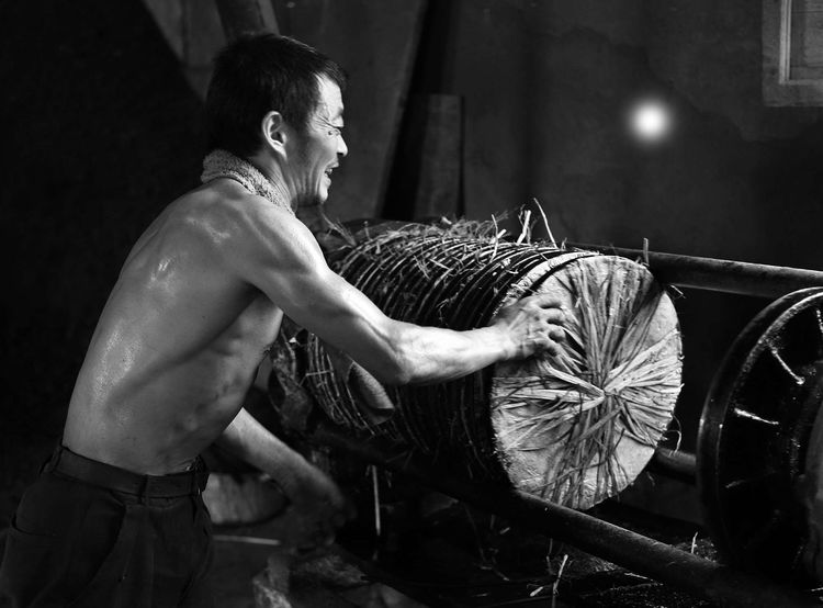 8月向日葵云海（徽州百工、黟县的朋友圈、瓷都景德镇）采风