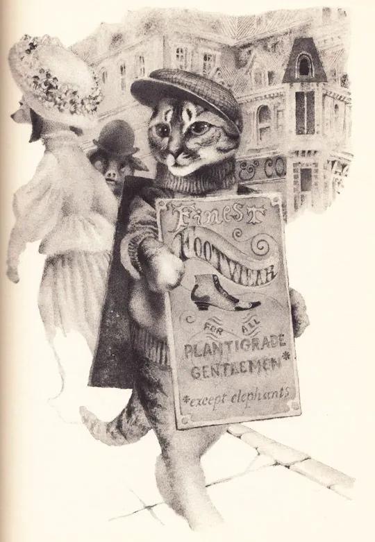 为什么古早广告会出现猫,为何古早广告中经常出现猫