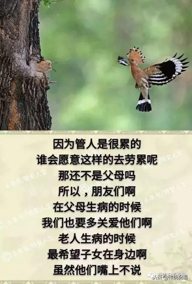 我的家庭相册怎么弄,我的家庭相册全集