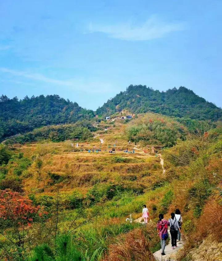 平江碧龙峡景区值得去玩吗,平江碧龙峡全长多少公里