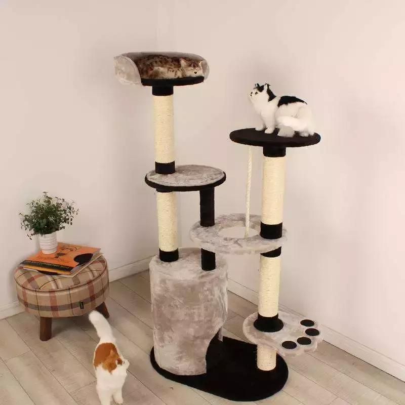 对猫咪无害的绿植花卉,猫咪禁忌养的植物