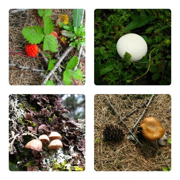 四姑娘山冬日旅行,2022年冬天四姑娘山游记