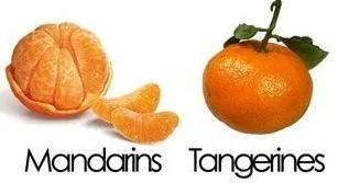 橘子的英文和橙子的英文是一个吗,橘子和橙子的英文单词是什么