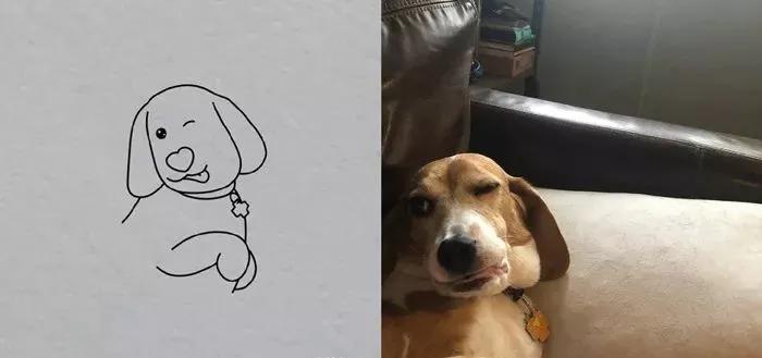 一波可爱动物简笔画,超火的简笔画动图