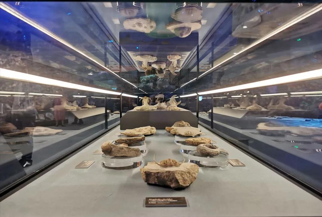 云南研学旅行路线推荐,云南寒假研学游推荐