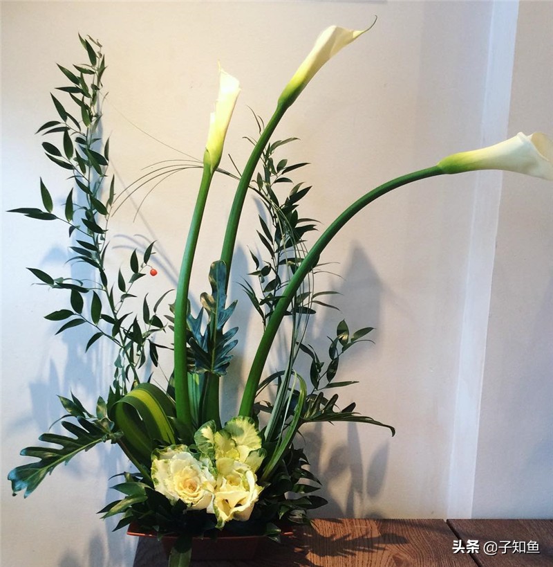 带你了解天蝎座的五个特质,天蝎座的十大缺点和十大优点