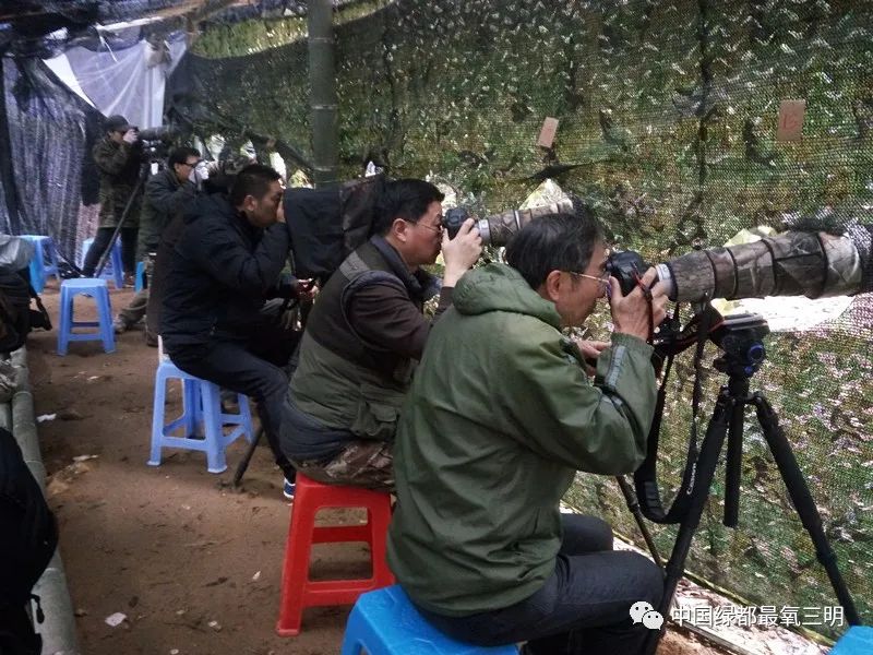 中国绿都三明旅游攻略,中国绿都乐购三明直播节明溪