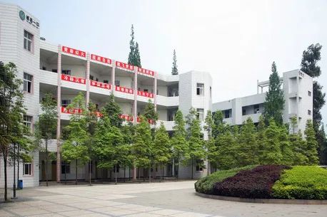 郫县豆瓣酱黑豆瓣,郫县黑豆瓣