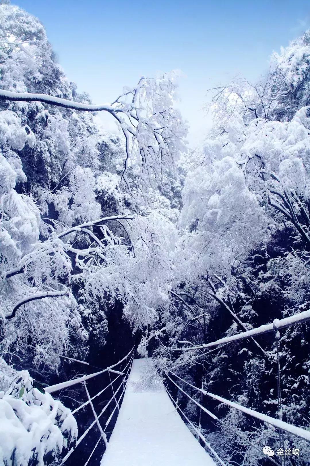 西安金丝峡雪景,陕西金丝峡冬天