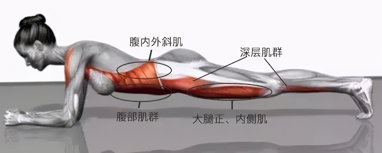 平板支撑是瘦肚子还是练腹肌,怎样正确做平板支撑练出腹肌