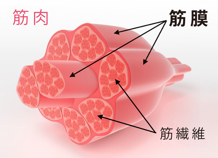 盆底康复不能拖到二胎再做