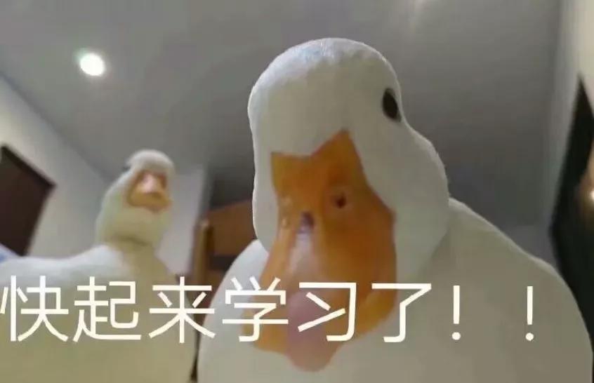 孩子舞蹈课停了1年还建议上吗,孩子因为成绩下滑被停掉了舞蹈课