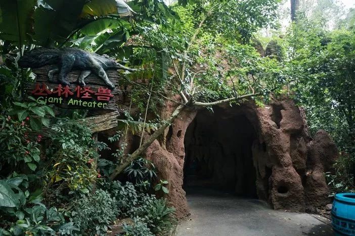 春节广州长隆野生动物世界攻略,广州长隆野生动物世界旅游攻略
