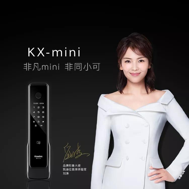 30种智能锁大全,智能锁30%的电