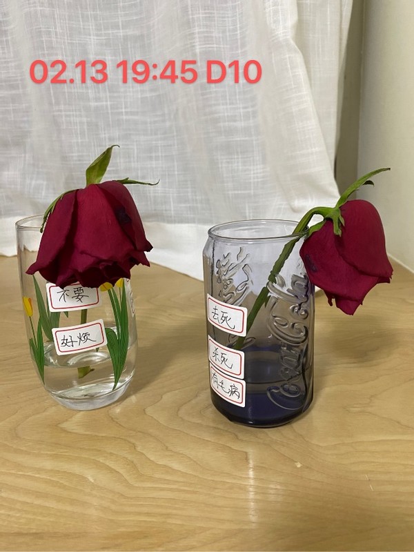 无形决定有形的说法,无形决定有形