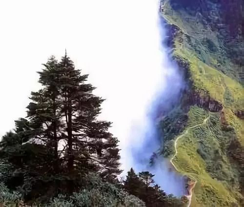 漫步成都街头的文案,漫步成都