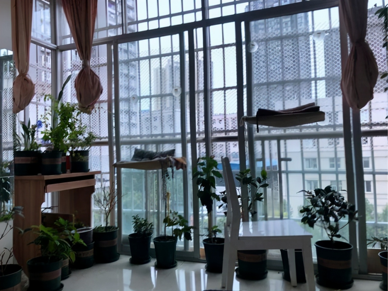 独居的那些事儿：我把性别改成了“男”，手术也只能自己签字