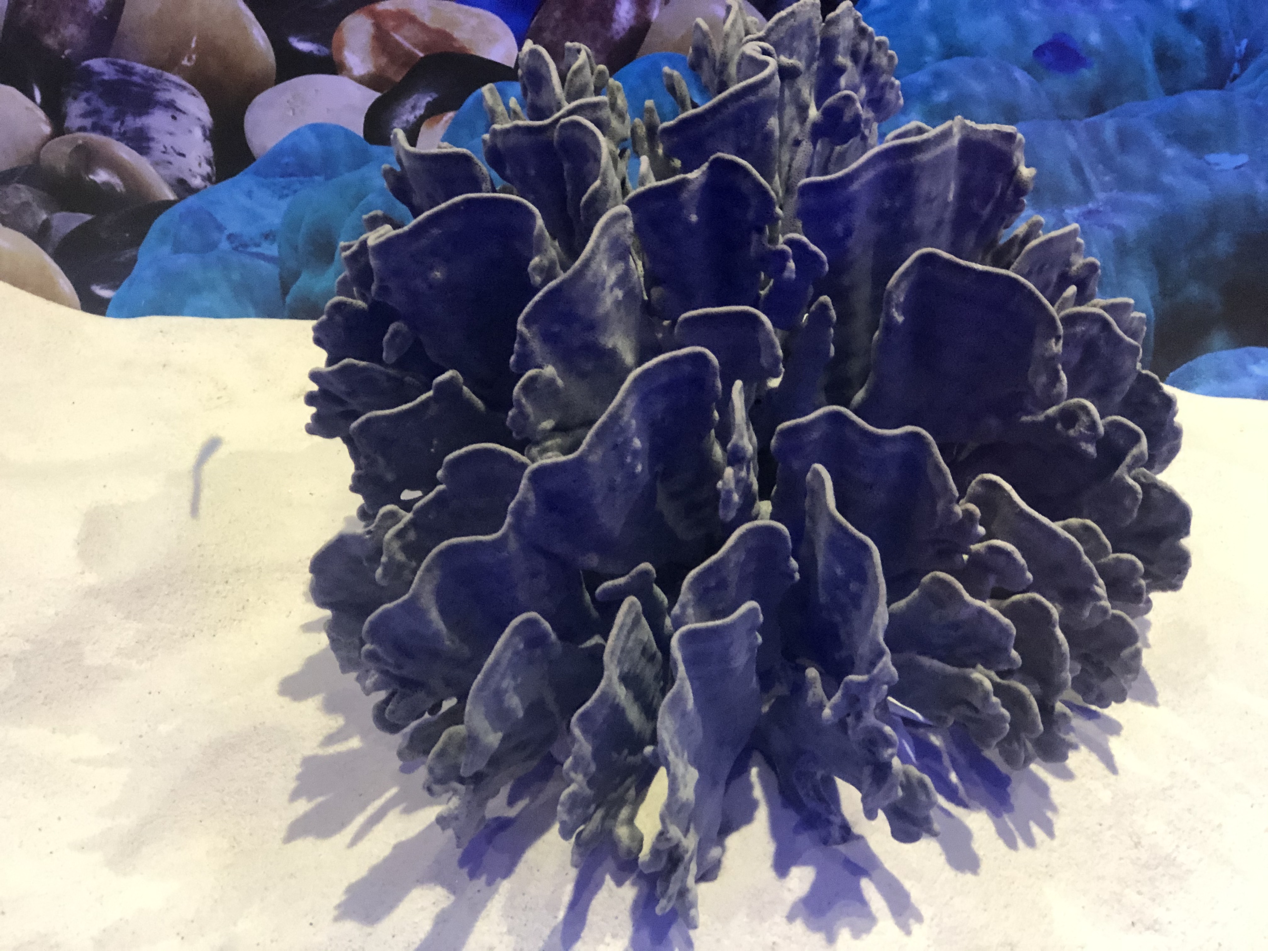 北海跟团游陷阱,低价北海旅游团套路