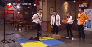 极限挑战迪丽热巴张艺兴短视频,极限挑战五迪丽热巴张艺兴花絮