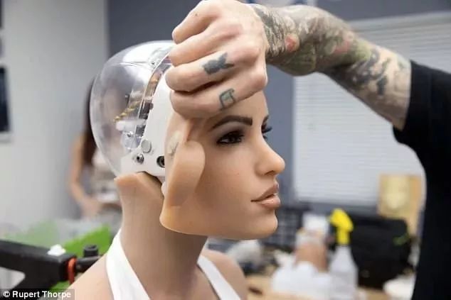 单身汪过年指南,单身狗不容错过的冷知识