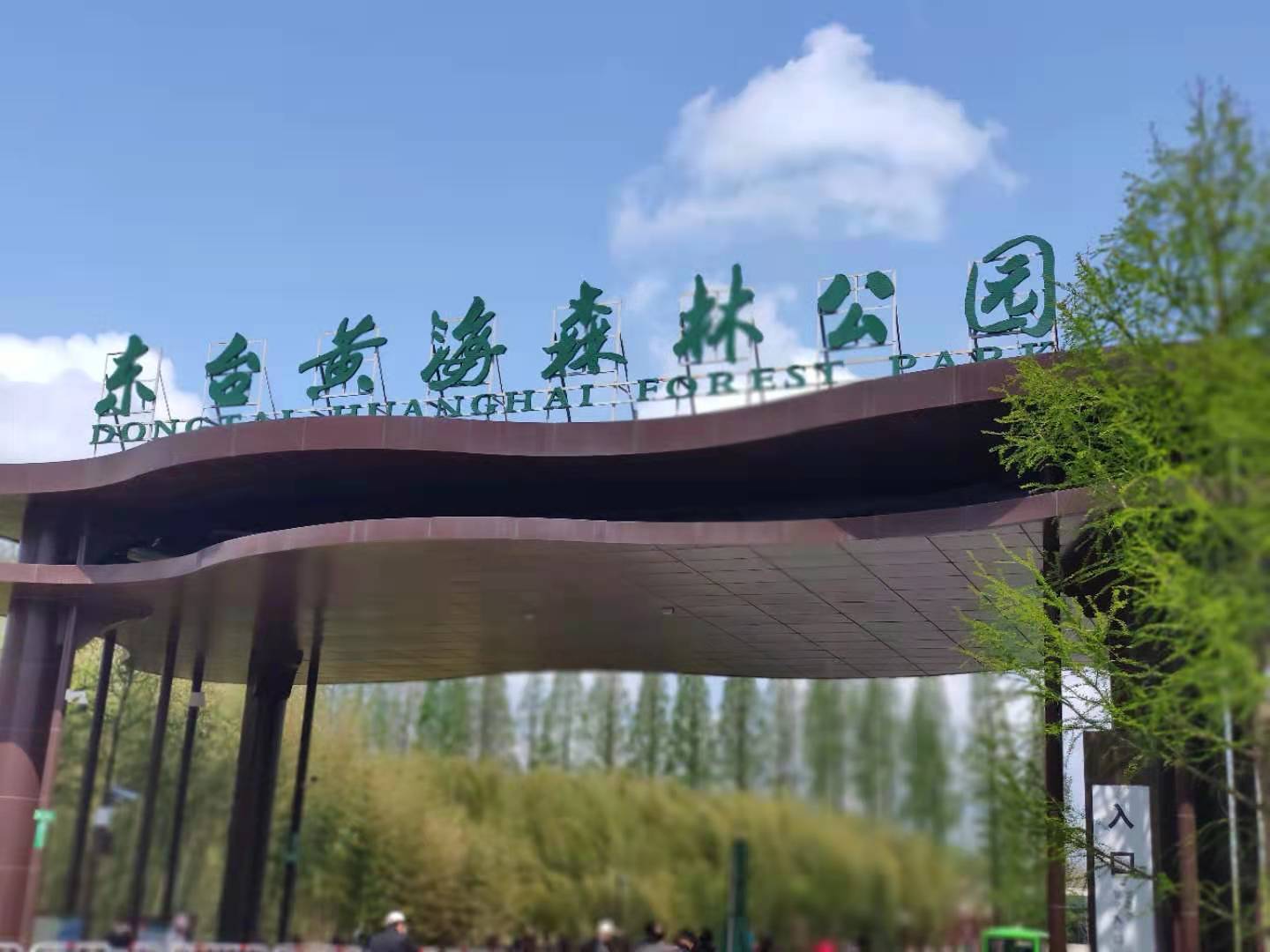 烟花三月矿泉水能喝吗,烟花三月喝最好的酒