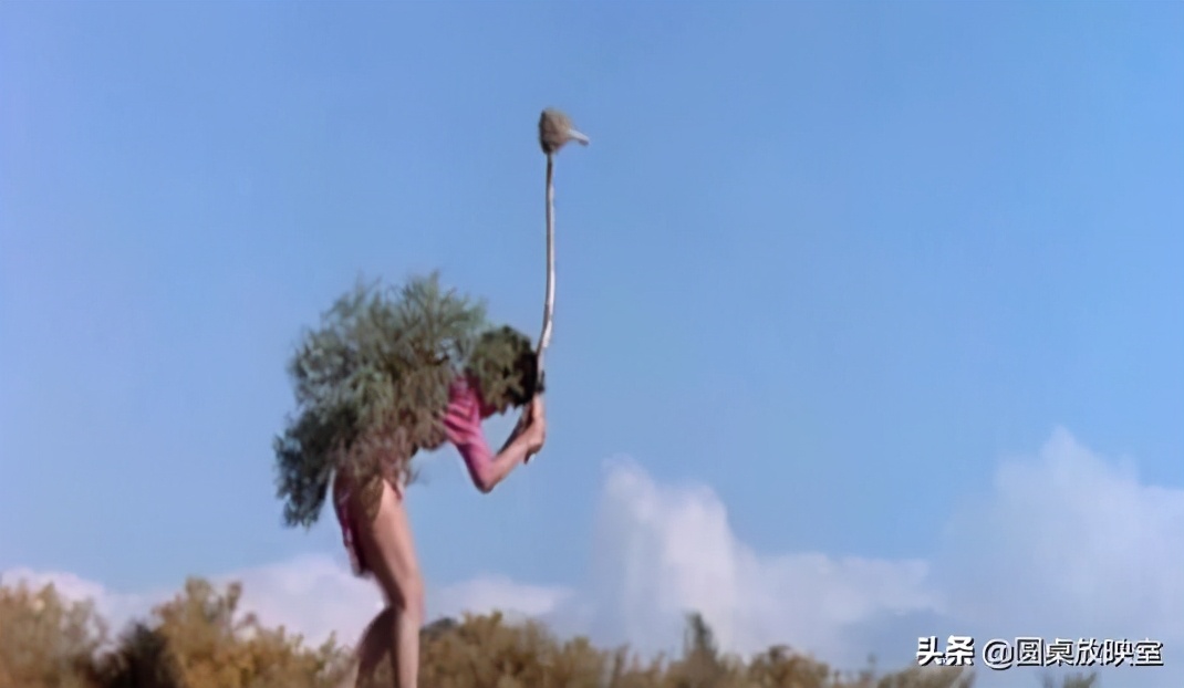 十部爆笑喜剧推荐专治各种不高兴,推荐15部爆笑喜剧电影