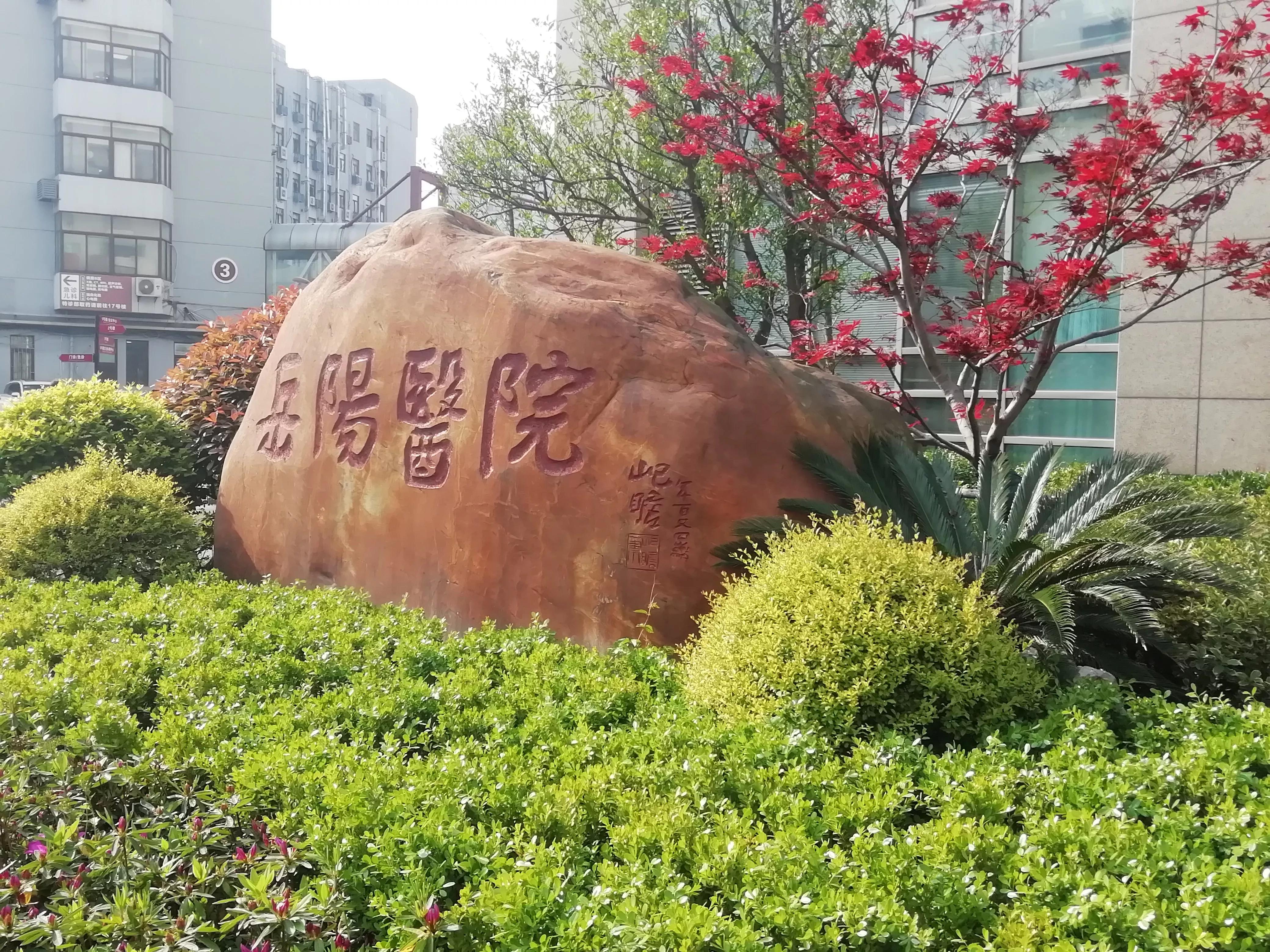 东西体育,上海体育场与虹口体育场