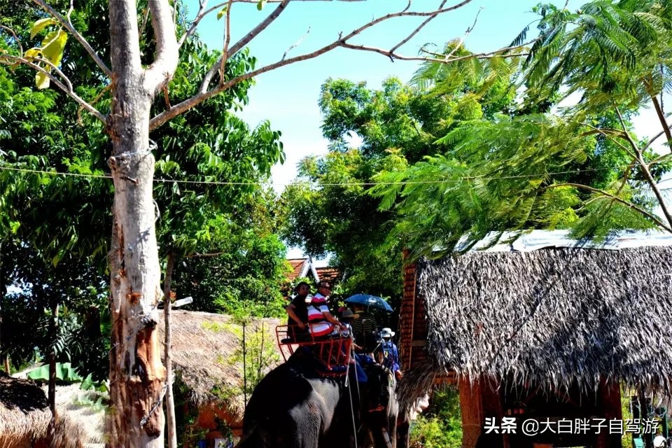 泰国风情之旅完整版,泰国风情记