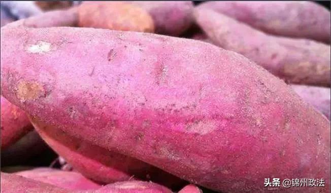 辽宁中国特点农产品优势区名单,辽宁特点农产品品牌有哪些