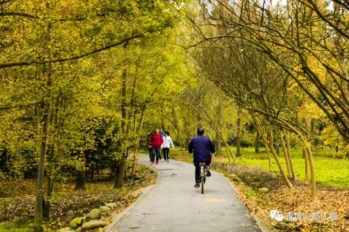 青城山熊猫谷都江堰一日游攻略,熊猫谷青城山都江堰一日游攻略