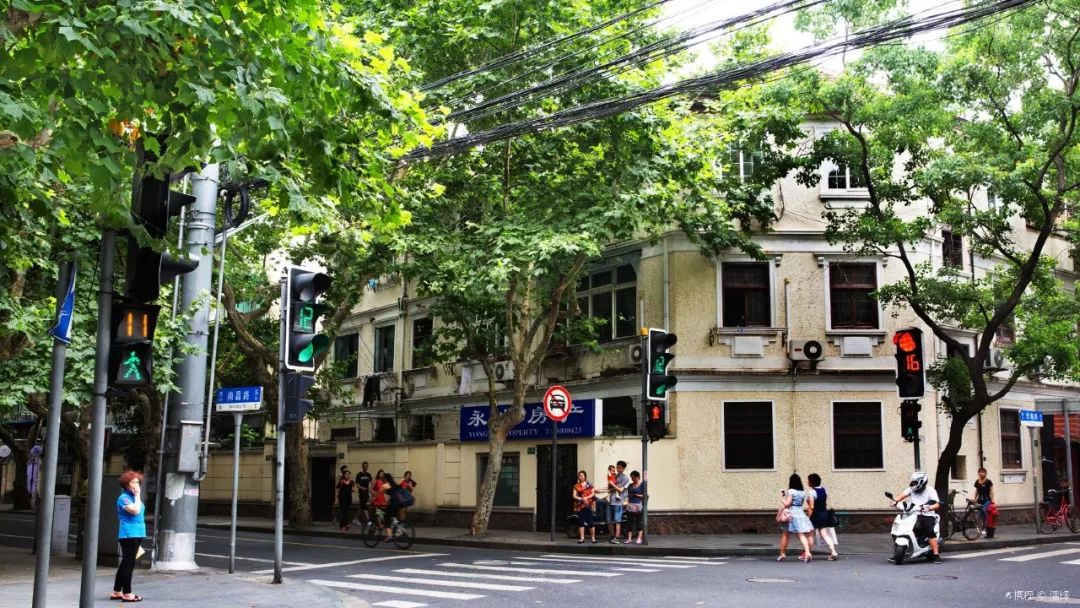 上海十大网红马路,魔都网红一条街