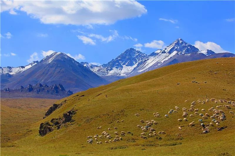 祁连山金塔寺,祁连山宝塔