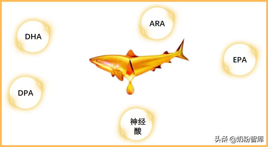 现在流行吃dha到底有没有效果,dha怎么选择主要看什么成分