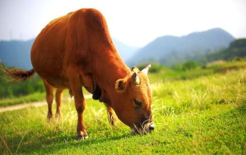 <html>
<head><title>502BadGateway</title></head>
<body>
<center><h1>502BadGateway</h1></center>
<hr><center>nginx</center>
</body>
</html>
<!--apaddingtodisableMSIEandChromefriendlyerrorpage-->
<!--apaddingtodisableMSIEandChromefriendlyerrorpage-->
<!--apaddingtodisableMSIEandChromefriendlyerrorpage-->
<!--apaddingtodisableMSIEandChromefriendlyerrorpage-->
<!--apaddingtodisableMSIEandChromefriendlyerrorpage-->
<!--apaddingtodisableMSIEandChromefriendlyerrorpage-->
