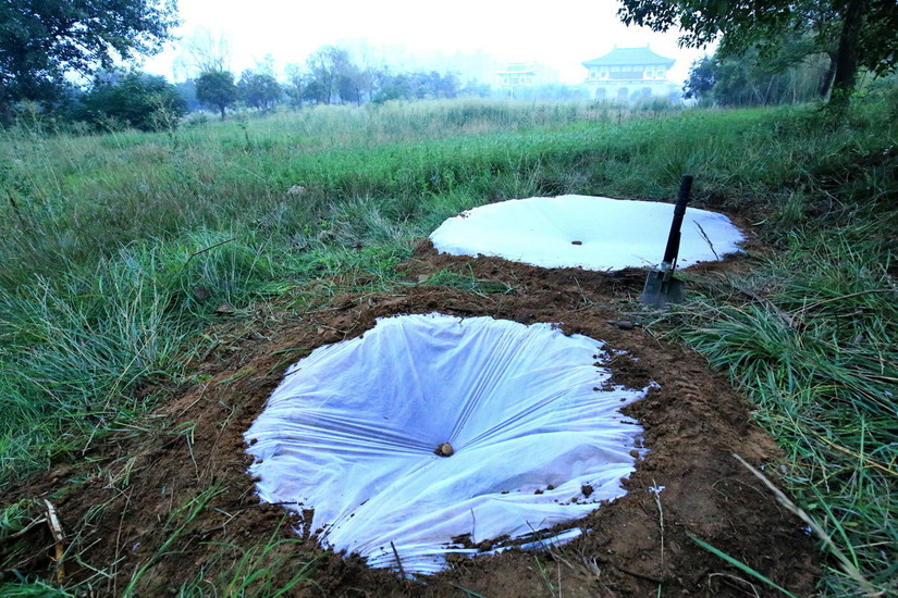 水处理技巧,如何解决户外用水问题