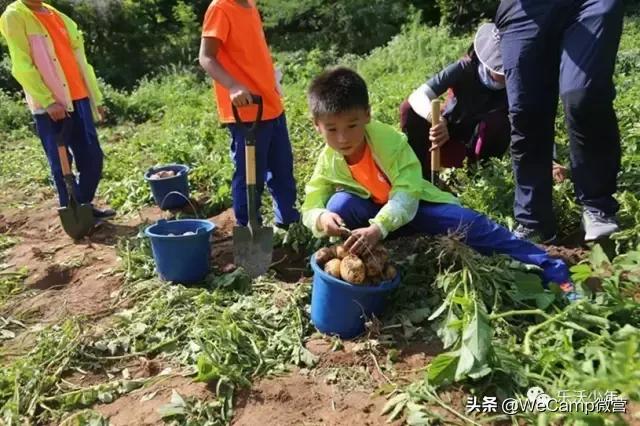 济南比较好的小学生夏令营,山东小学生夏令营