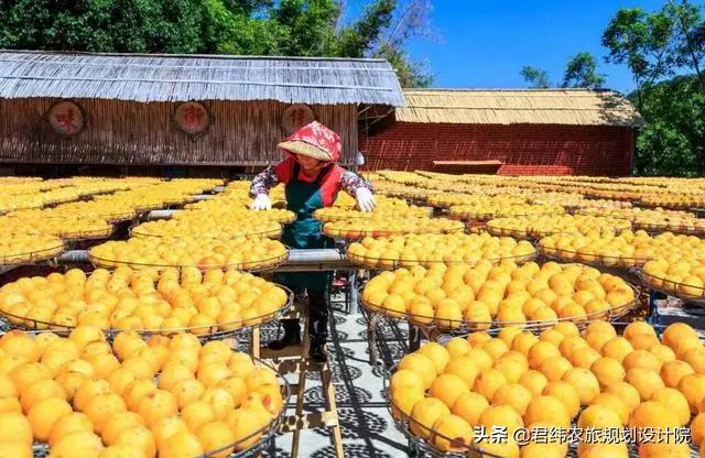 农业公司都有哪些优惠政策扶持,农业补贴强力扶持这5类项目