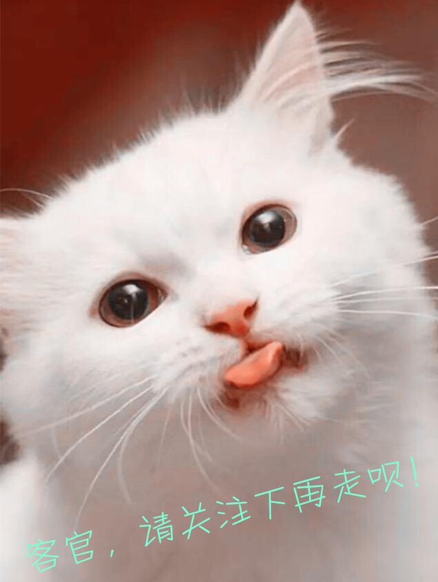 一个医生不救死扶伤却跨界研发杀人*器武**！150年后仍在称雄世界