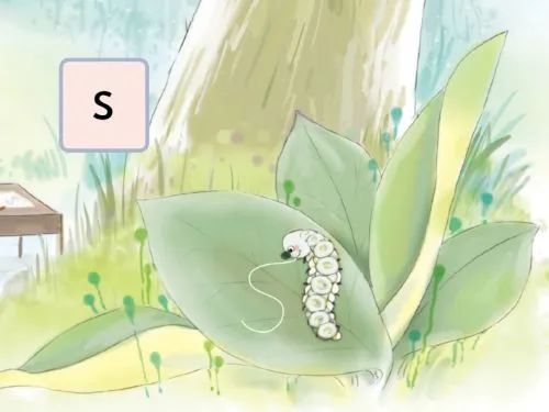 一年级语文第七单元上册教案,一年级语文zcs教材解析