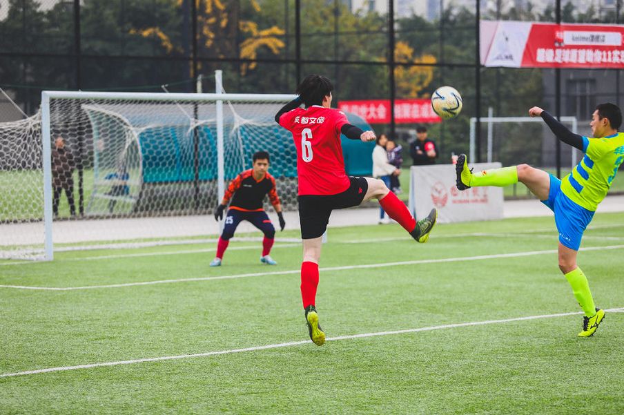 成都文旅熊猫馆直播,成都文旅官方直播