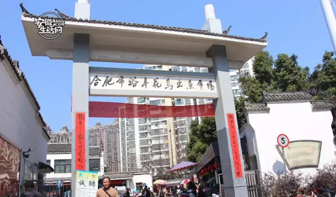 合肥市区免费游玩推荐,合肥市区一日游推荐免费景点