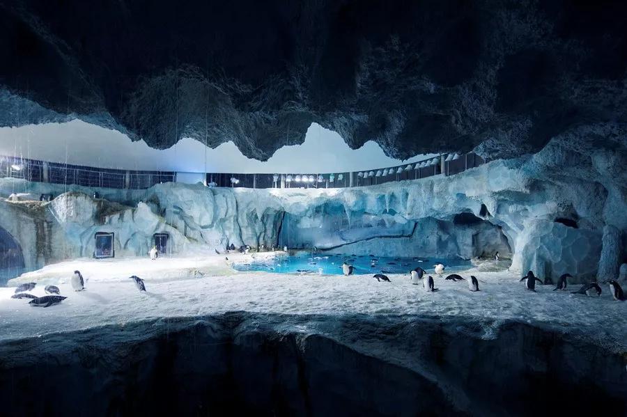 珠海长隆海洋王国景观,珠海长隆海洋王国设计