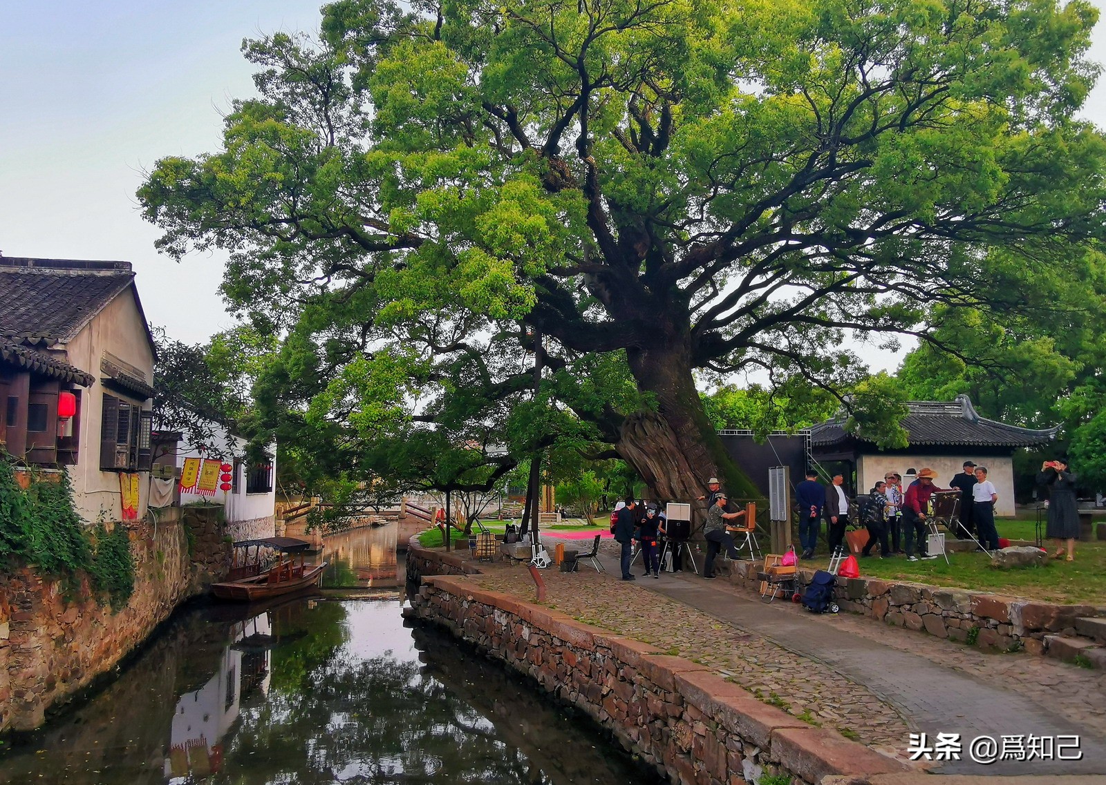 太湖明月湾就是西山岛明月湾吗,周末打卡太湖西山岛明月湾