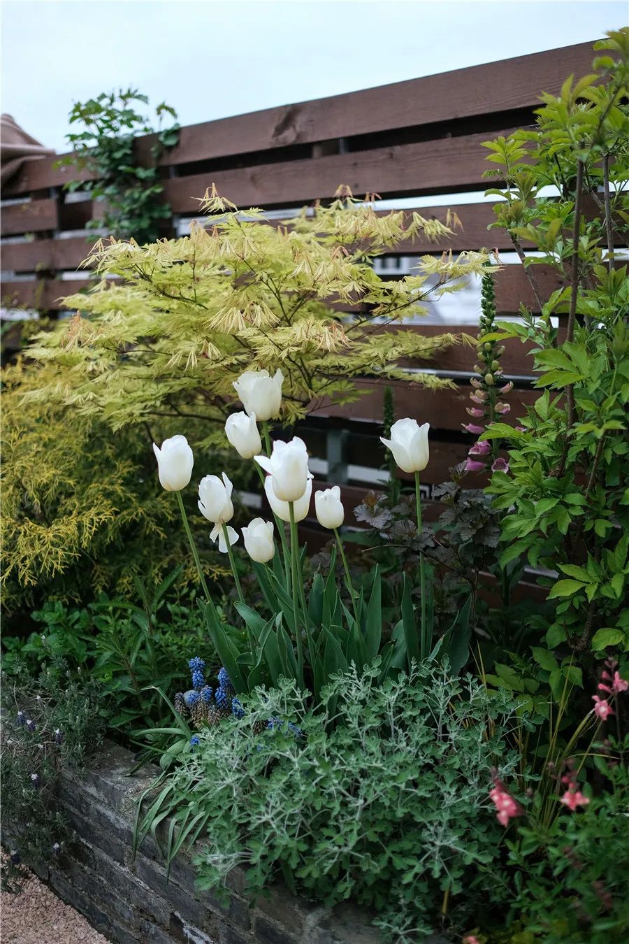 怎样打造露台花园,简单露台花园打造方法